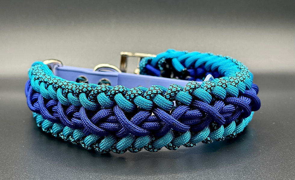 Hand woven paracord dog collar in Parastorer pattern in blues
