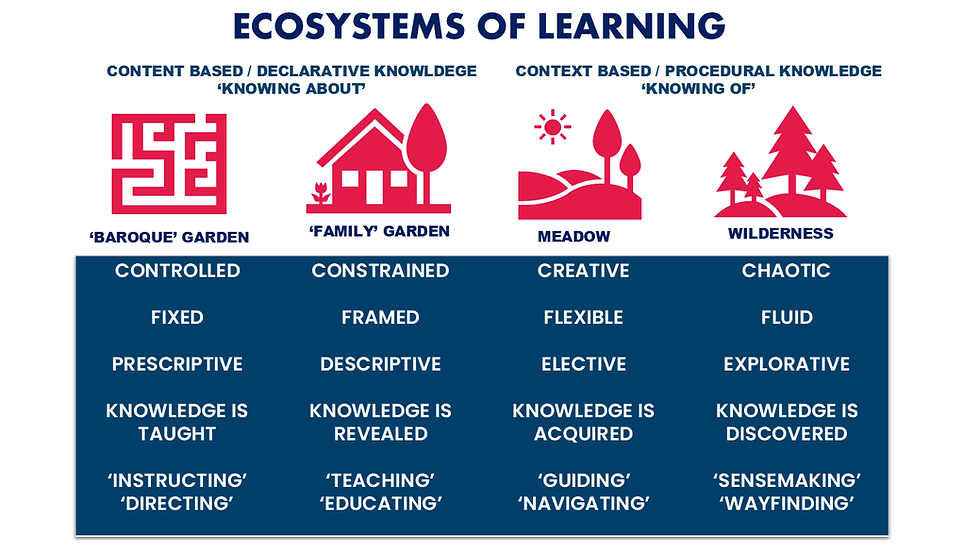 Adapted and inspired by EIS 'Curriculum Project'