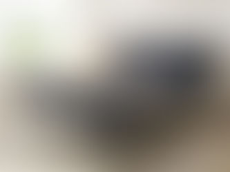 Adjustable Massage Bed Frame $400