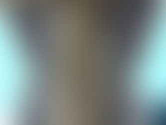 VIP Luxury Curtains For Car