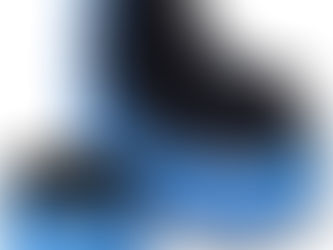 Inflatable Ottoman Chair $30