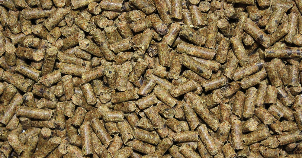 equine feed Poulin grain's etec one