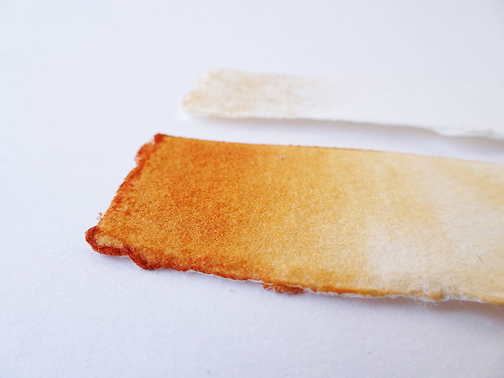 Miniatura: Mód. 3 "La plasticidad de la vegetación”-Producción a partir de residuos