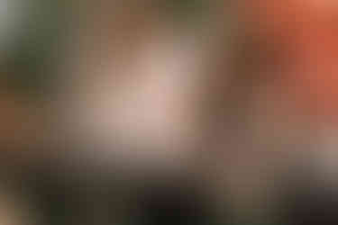 young children play in the garden