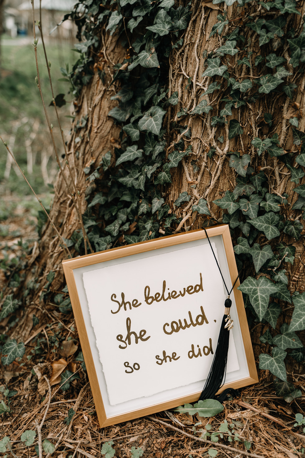 sign that reads: she believed she could so she did