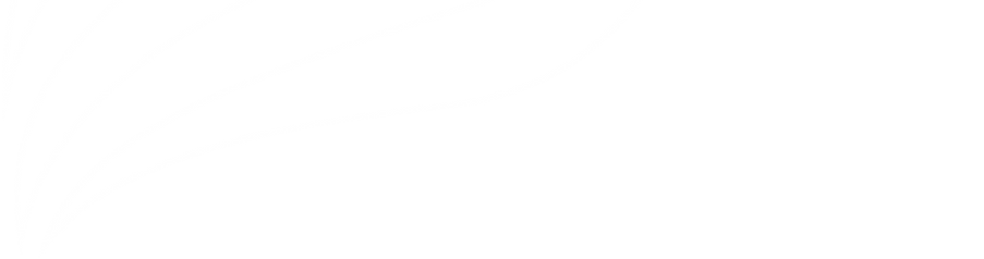 aco-wing-logo-yellow_edited_edited_edite