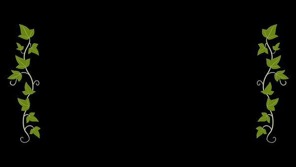 the mystics assets.jpg