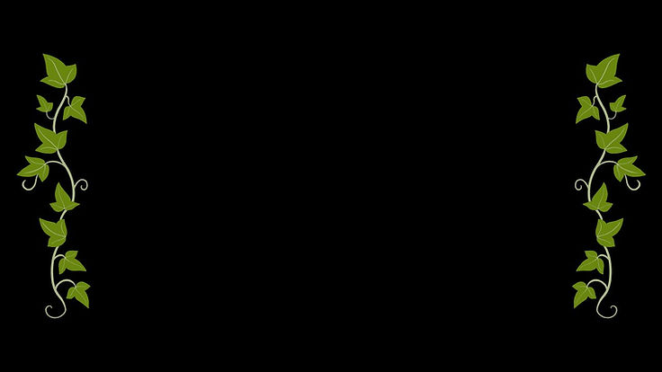 the mystics assets.jpg