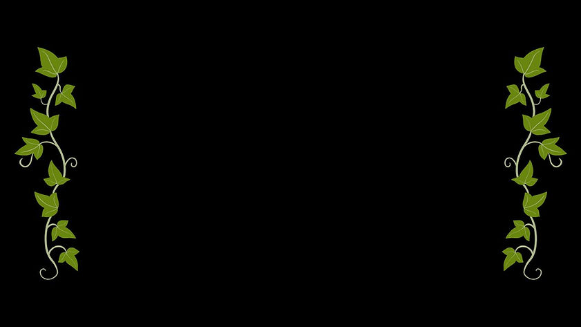 the mystics assets.jpg