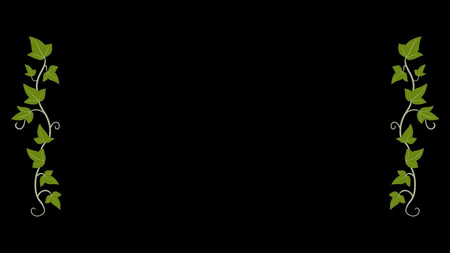 the mystics assets.jpg