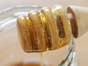 Dive Into Honey for National Honey Month: The Fascinating History of Honey Bees