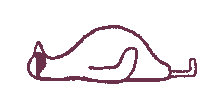 guļošais balodis_anim.gif