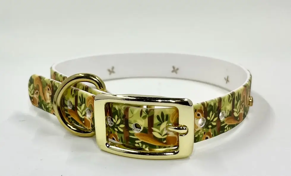 Thumbnail: Premade, 3/4" Squirrel UV Print Biothane® Dog Collar Small: Fits 10-13" Neck