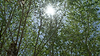 Screenshot 2025-08-20 at 11.00.17 AM.png