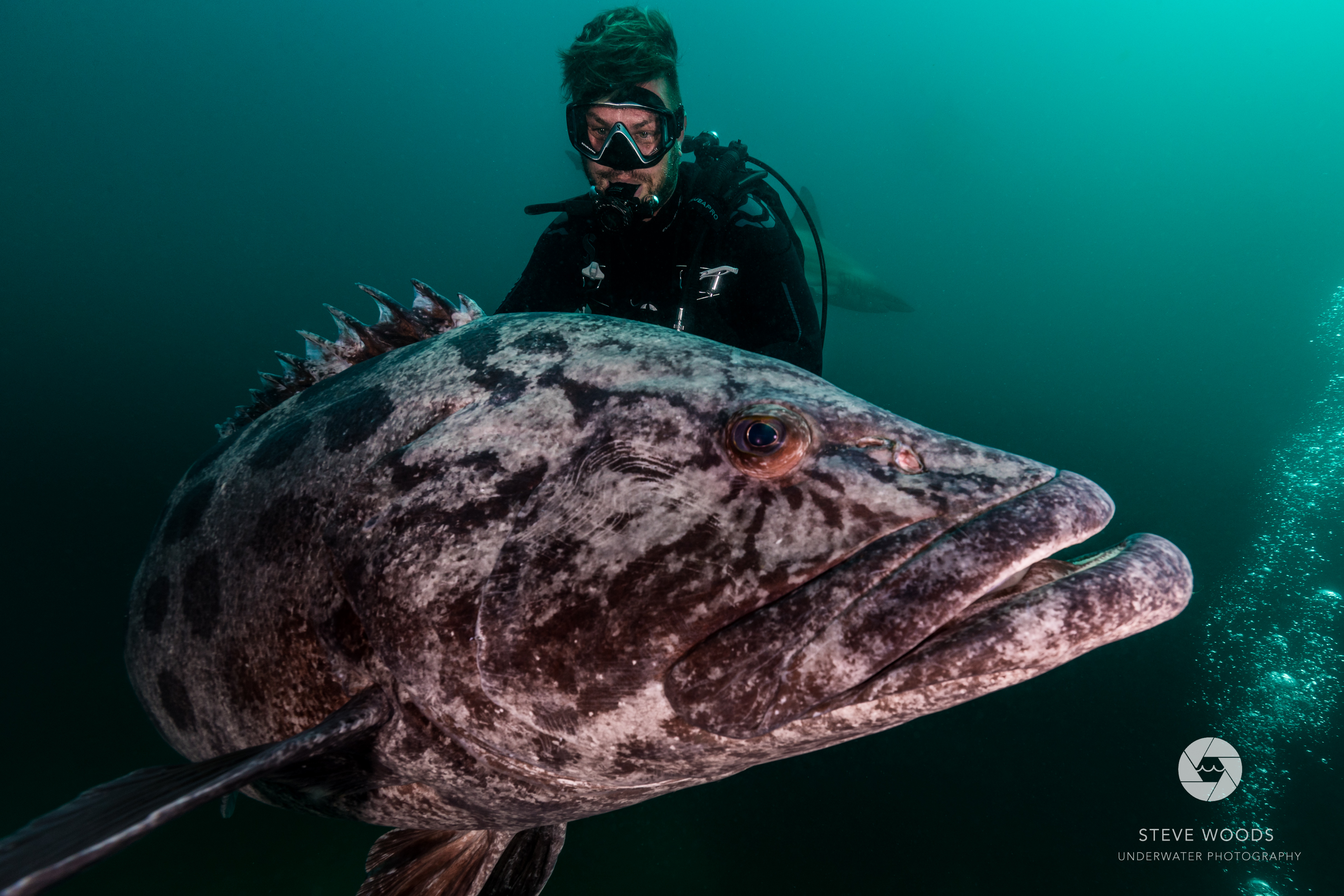 padi courses - aliwal shoal, south africa