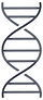 Asset 4_4x.png