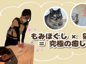 猫のいるリラクゼーション Care Labo Elan
