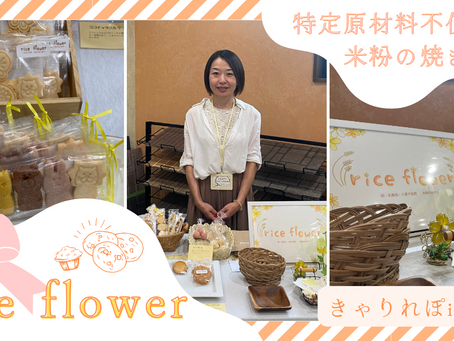 rice flower