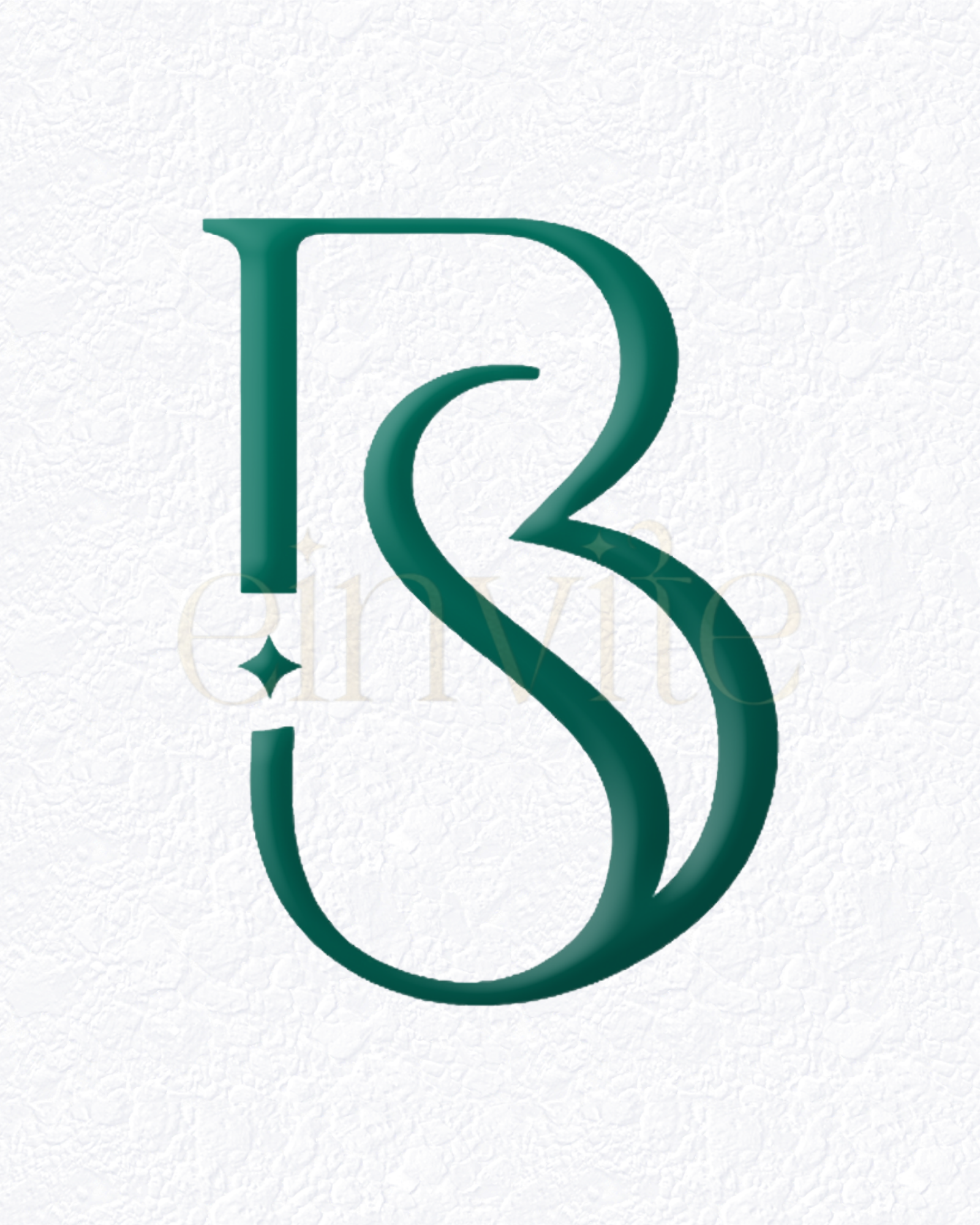 B+S Logo Initials
