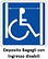Accesso Disabili