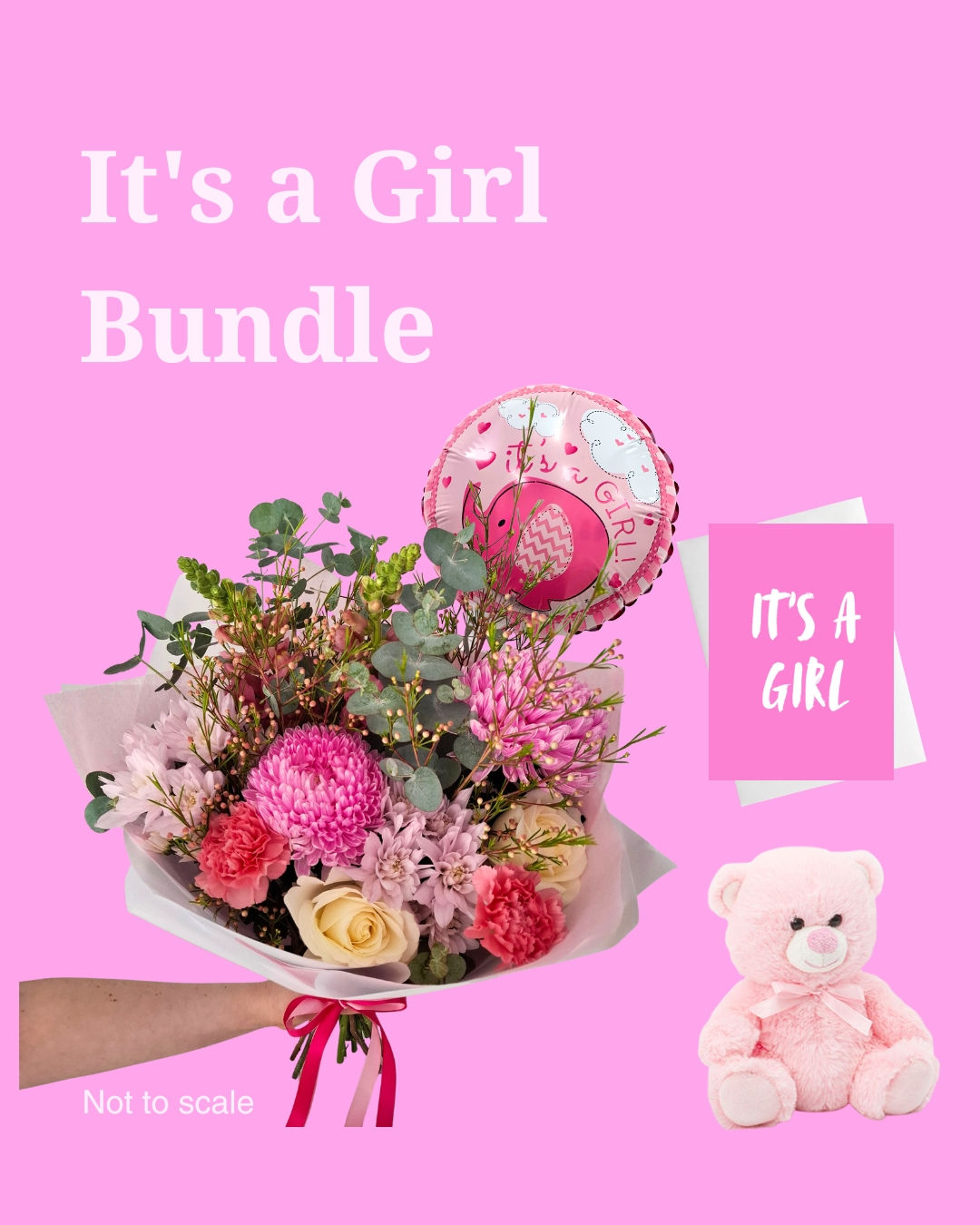 It's a Girl Bundle