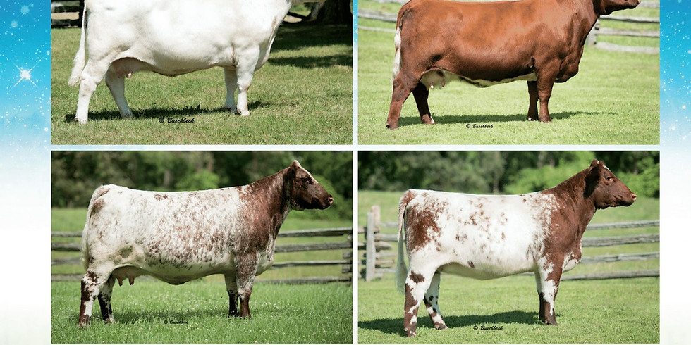 Hill Haven Selection Sale