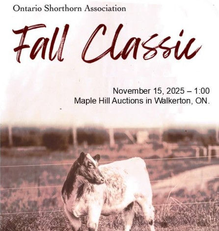 OSA Fall Classic Sale