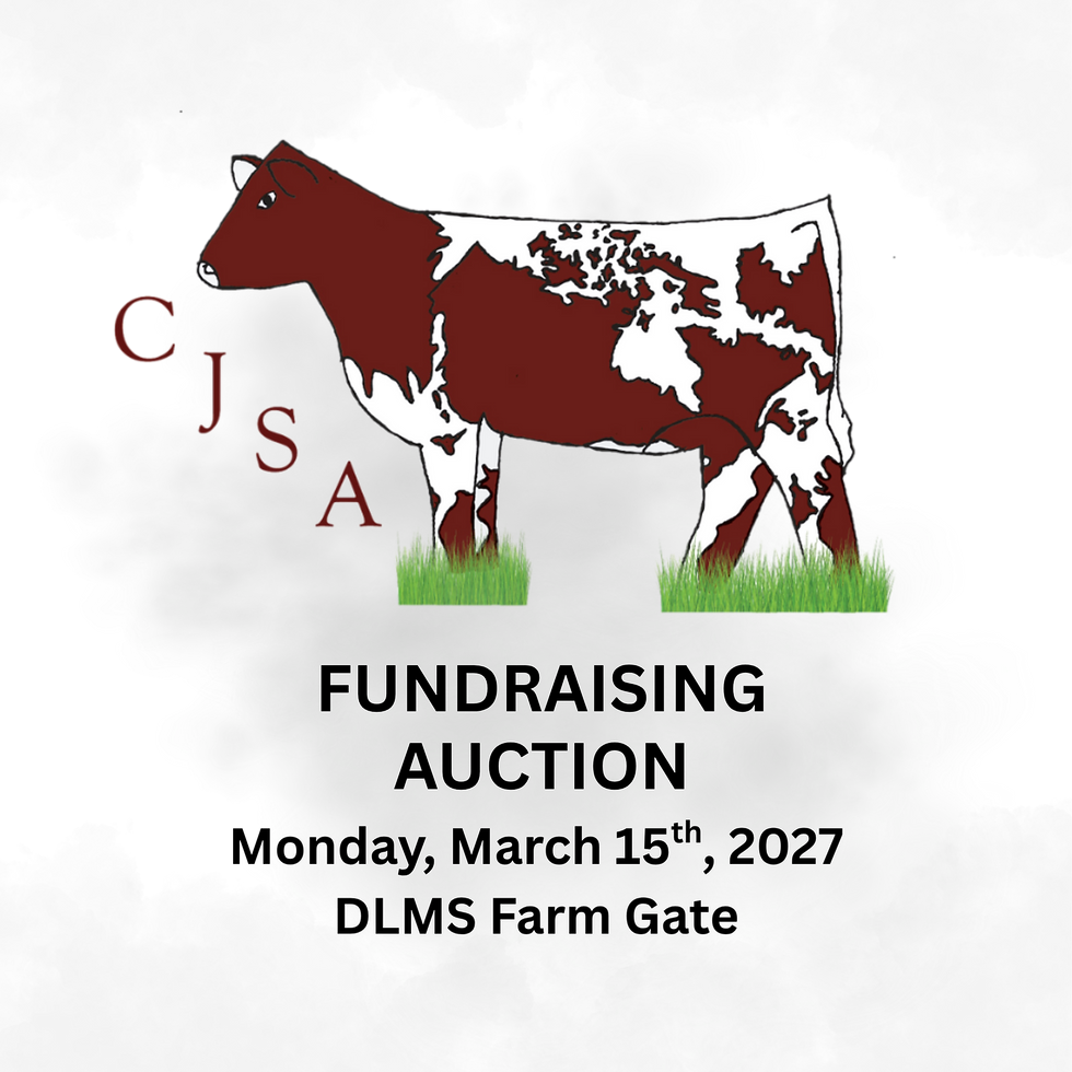 3rd Annual CJSA Fundraising Auction