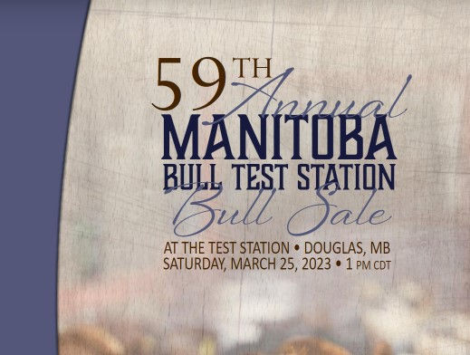 Manitoba Bull Test Bull & Female Sale