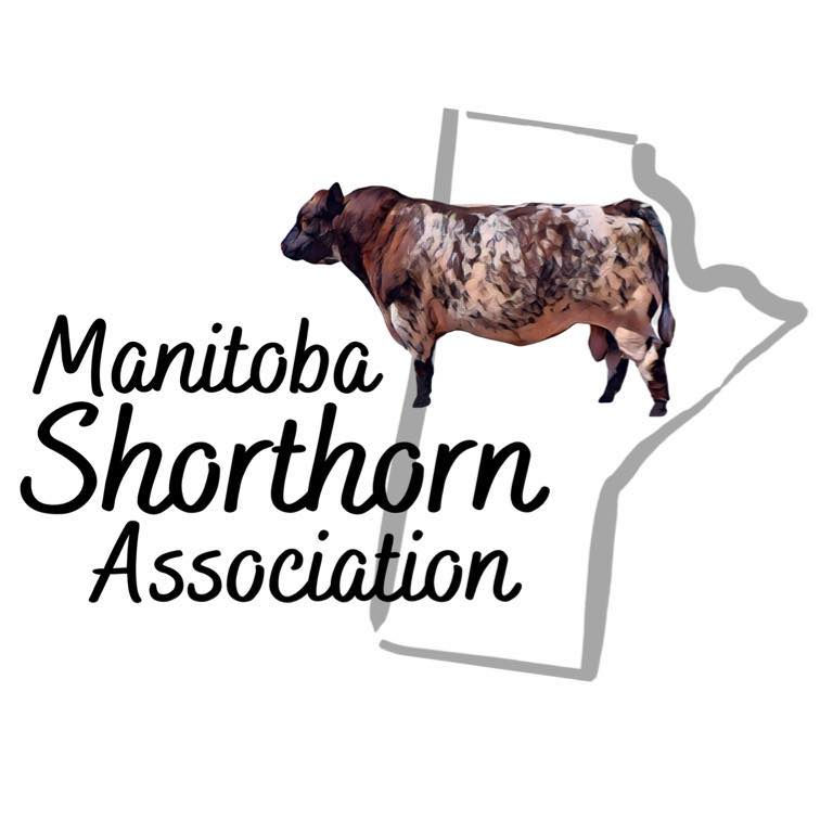 Manitoba Shorthorn Summer Show