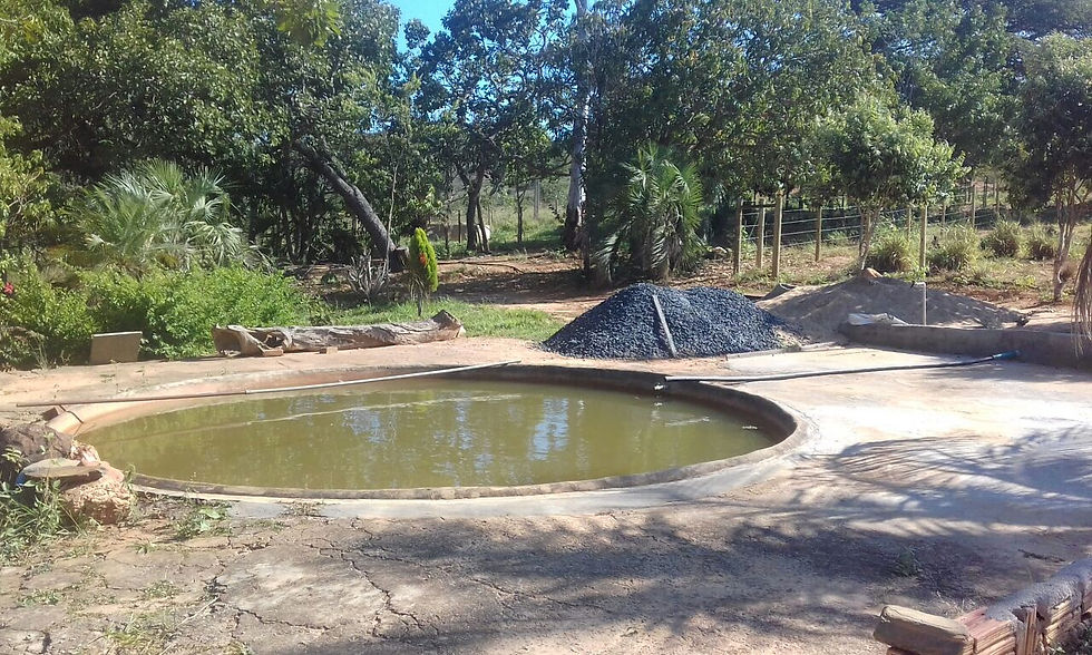 Miniatura: SITIO 15,5 HECTARES 26 KM M CLAROS/SAIDA PIRAPORA