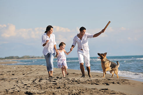 Family-Beach-Dog-Web-IMG.jpeg