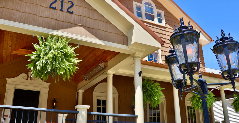 ferns lights house.JPEG