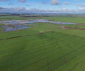 DJI_20231208113925_0218_D.JPG
