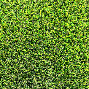 2024_GS_GREEN PARK_1 (1).jpg