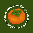 persimmon litmag.png