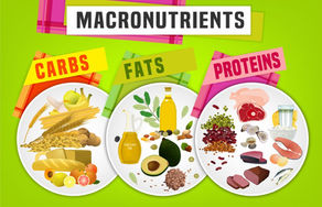 Carbs, fats & proteins