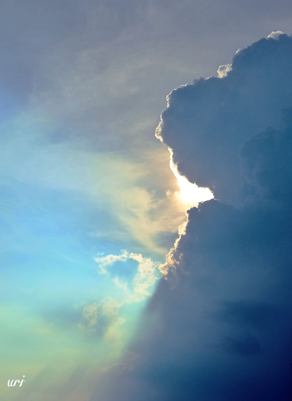 A hidden girl comes out for the first time