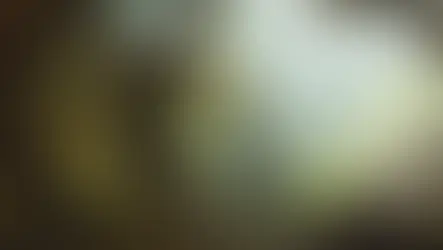 Leafy - The Tree Monster