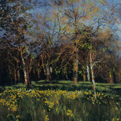 In Spring
Artist: Alan Cameron
Medium: Giclee Print
Presentation: Framed
Framed Size: 53 x 66cm
Price: £165
(available unframed for £65)
