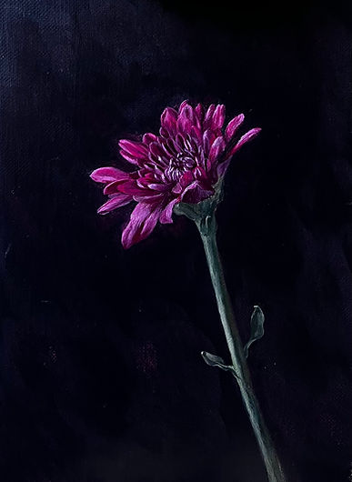 CR_Chrysanthemum_Oil on Fine Linen_25 x 30cm_£295.jpeg