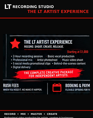 07_artist_experience.png