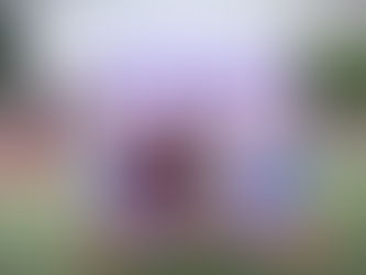 What we're thankful for