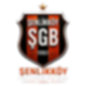Gemini_Generated_Image_8291in8291in8291-removebg-preview_edited.png