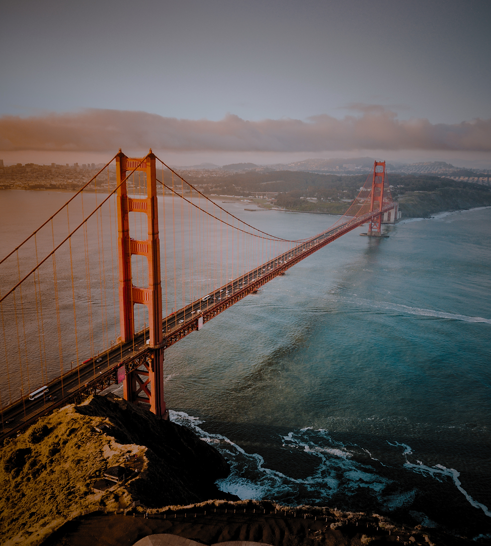 New Website Banner (2250 x 2500 px).png