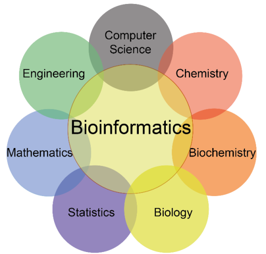 Bioinformatics Market