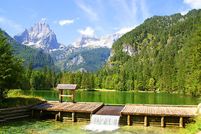 AdobeStock_15217183.jpeg