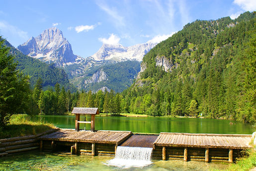 AdobeStock_15217183.jpeg