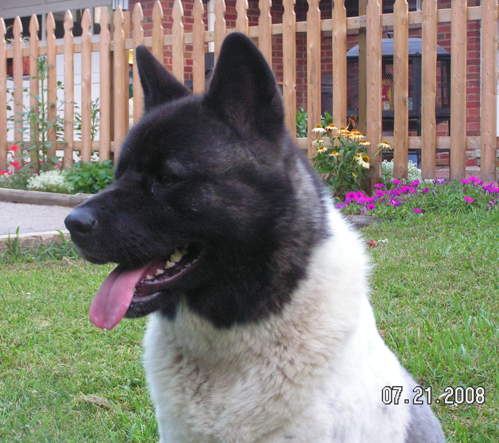 Photo of Mojo