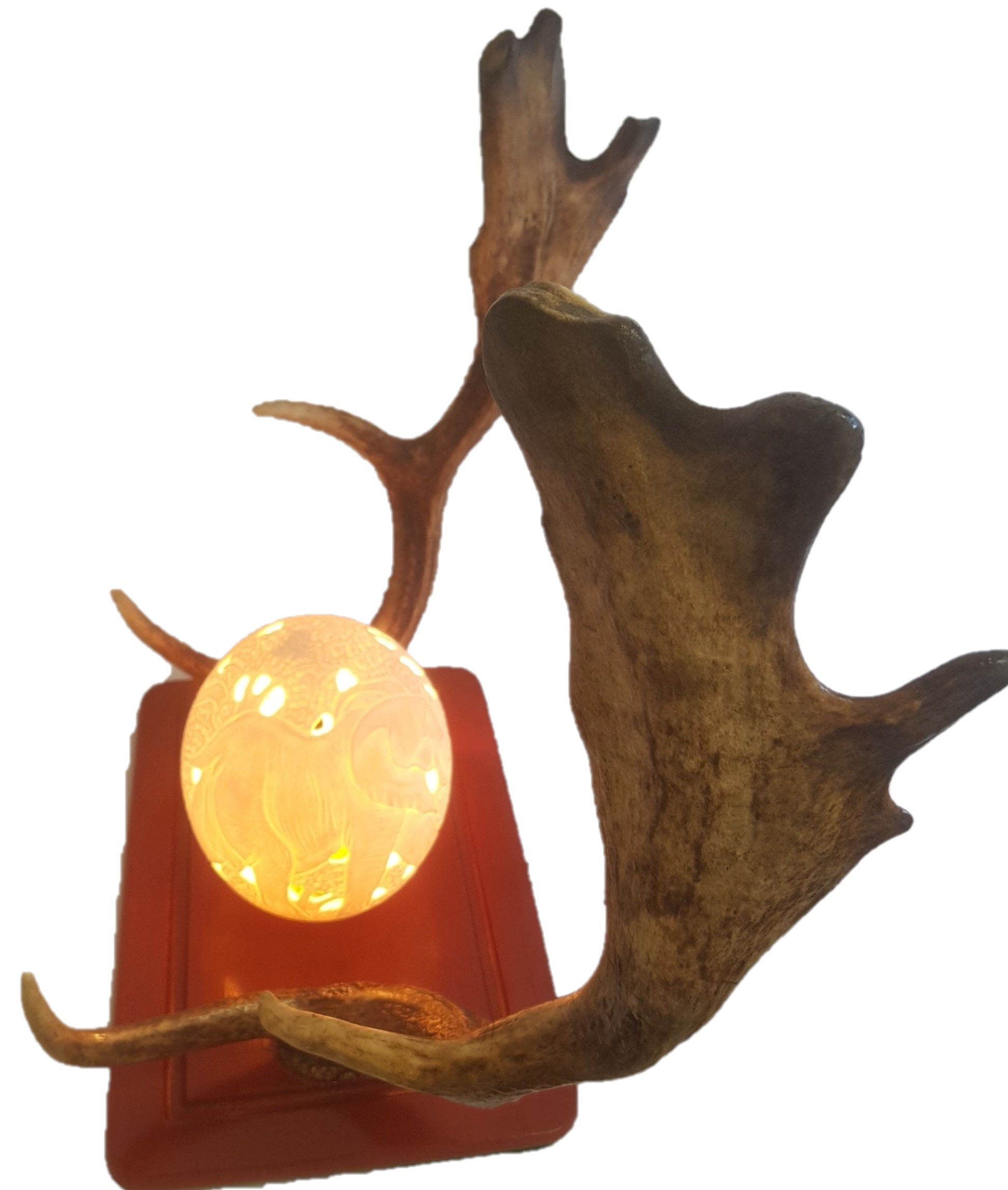 Antler Table Lamp - Fallow Deer